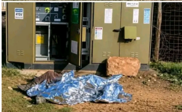 Man Dies After Electrocution During Alleged Cable Theft Attempt in Mamelodi West