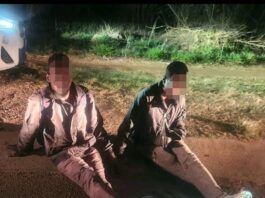 Two Foreign Nationals Nabbed for Cable Theft in Lindo Park
