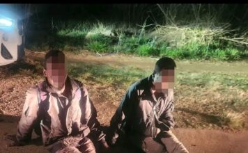 Two Foreign Nationals Nabbed for Cable Theft in Lindo Park